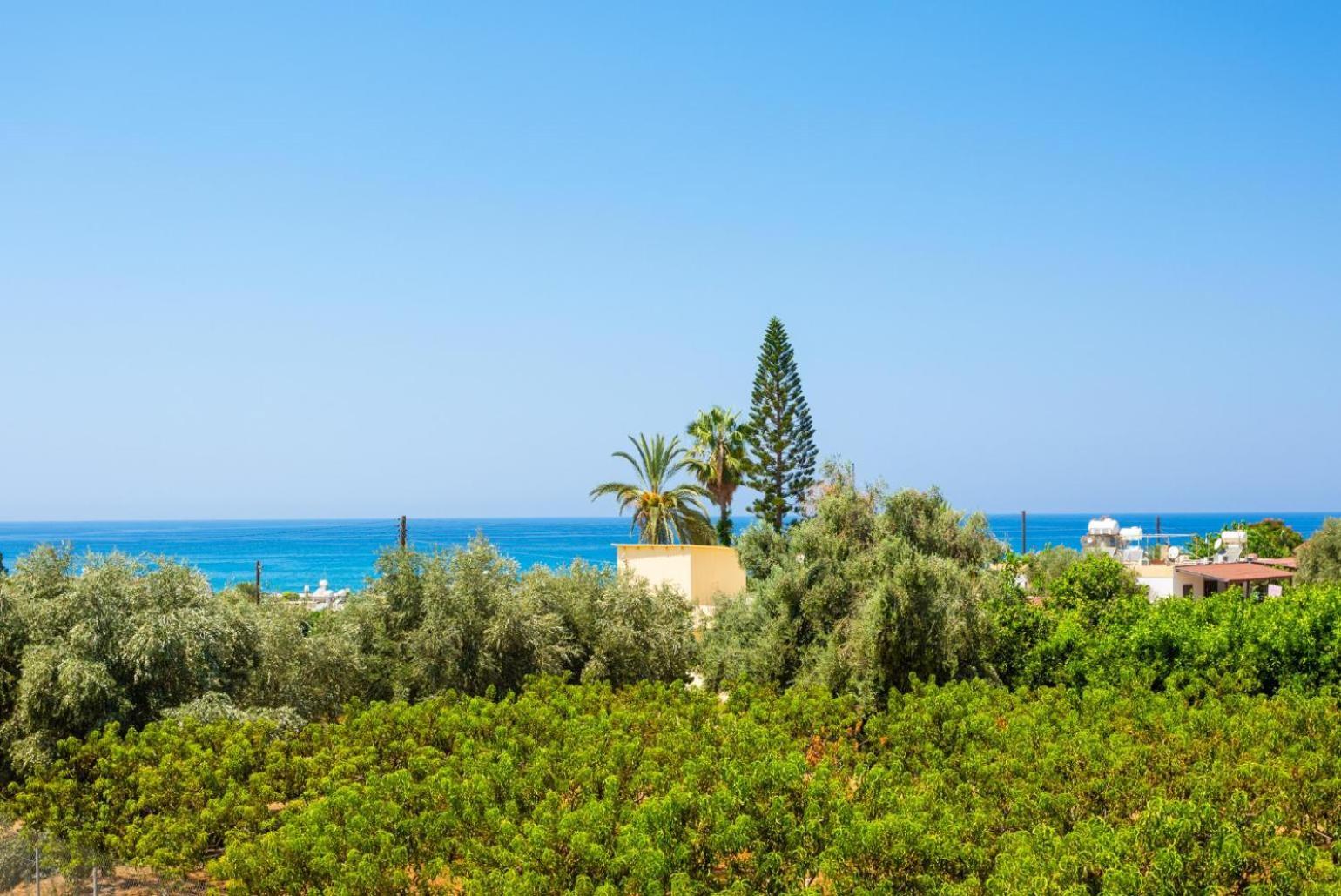 Villa Olivetta Kato Yialia